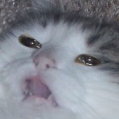 Profile Picture of Bianca Zaragoza (@Astramega) on Twitter