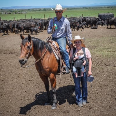 Profile Picture of Casey Bieroth (@775_Cattle) on Twitter