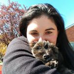 Profile Picture of Amy Veltri (@amyk804) on Instagram