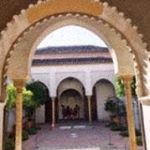 Profile Picture of James Healy (@healy7332) on Instagram