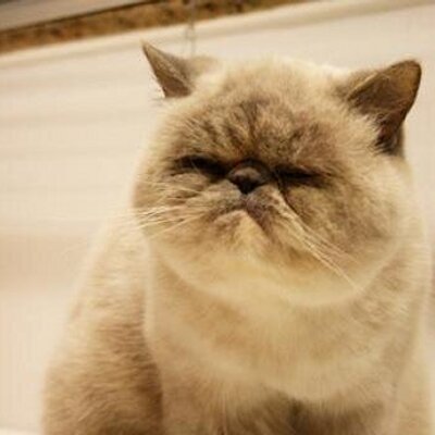 Vivian Ashley - Twitter Profile Picture of Vivian Ashley (@vivianashley14) on Twitter