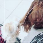 Profile Picture of celeth__laegel (@celeth__laegel) on Instagram