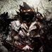 Profile Picture of Kevin Rosette (@kevin.rosette.7) on Facebook