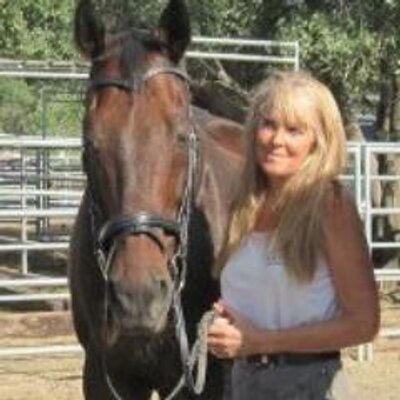 Profile Picture of SafeHavenHorseRescue (@safehavenhorse) on Twitter