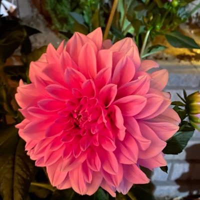 Profile Picture of Jeffrey Martini (@jeffreymartini) on Twitter