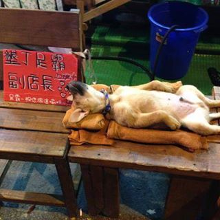 Profile Picture of Daniel Chan (@Daniel-Chan) on Facebook