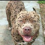 Profile Picture of Kelvin Arnold (@kelvin.arnold.31586) on Instagram