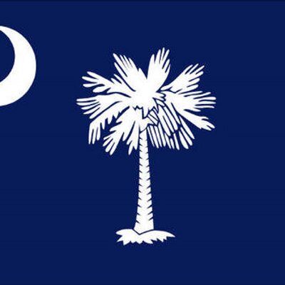 Profile Picture of Michael Shehan (@palmetto_social) on Twitter