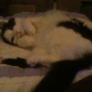 Profile Picture of Shelley Hardy (@Shelley59769090) on Twitter