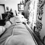 Profile Picture of Stacey Martin Lantz (@smlantz95) on Instagram