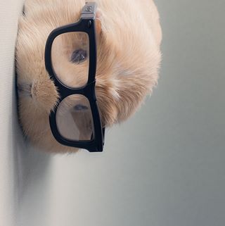 Profile Picture of Ace Sayler (@ace.sayler) on Facebook