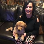 Profile Picture of Alisa Wold (@mistymaplesgoldens) on Instagram