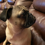 Profile Picture of Cheree Smith (@chereesmith484) on Youtube