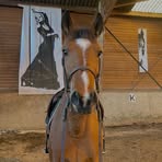 Profile Picture of Coline Mazel (@Coline-Mazel) on Facebook