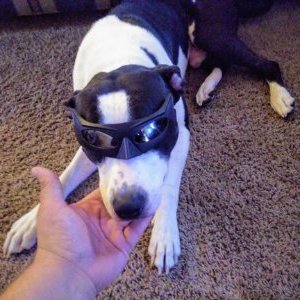 Profile Picture of Allan Lantz (@AllanLantz1) on Twitter