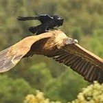 Profile Picture of Mahmoodejazi (@mahmoodejazi) on Instagram