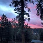 Trevor Stevens - Instagram Profile Picture of Trevor Stevens (@trevor_was_here9) on Instagram