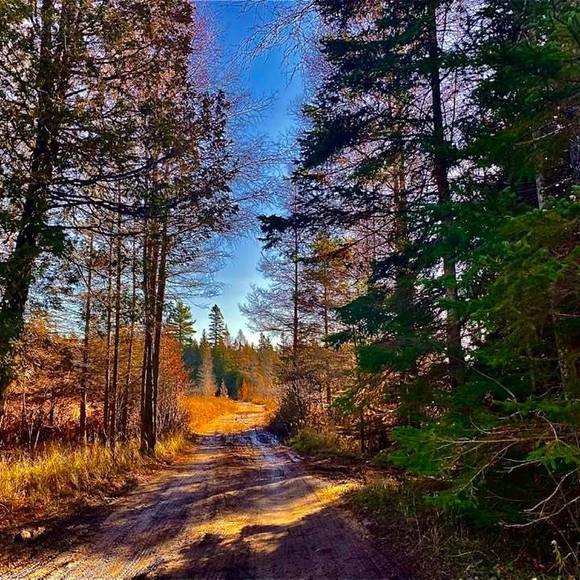 Profile Picture of Bridget Melching (@bridgethibbler) on Poshmark