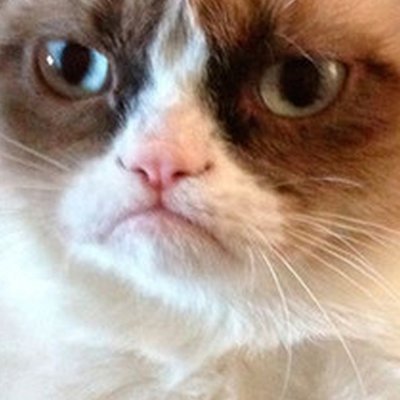 Profile Picture of Stuntman Bob (@BobStuntman) on Twitter