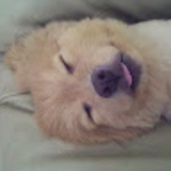 Laura Sletner mitchell - Poshmark Profile Picture of Laura Sletner mitchell (@laurasletner119) on Poshmark