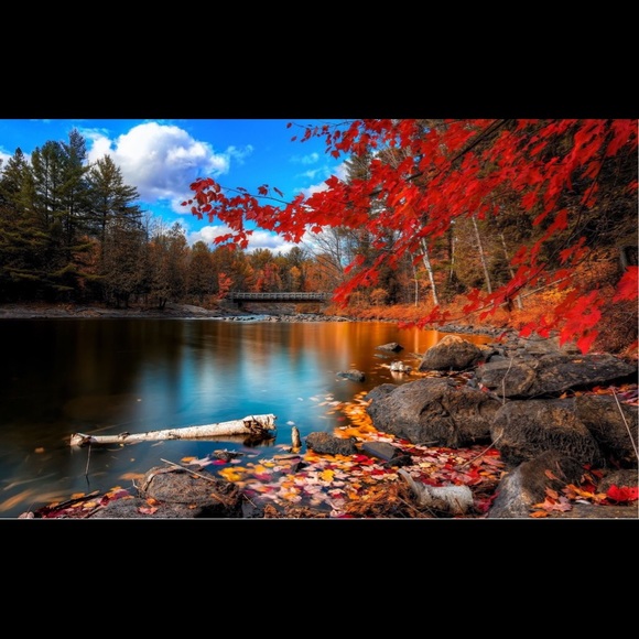 Profile Picture of Jessica Gilbrech (@jessicagilbrech) on Poshmark