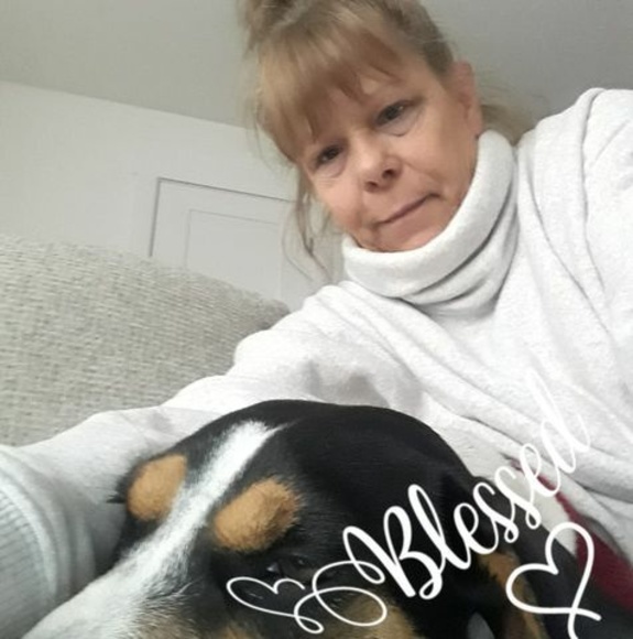 Profile Picture of Stacy Gorajewski (@sgorajewski1) on Poshmark