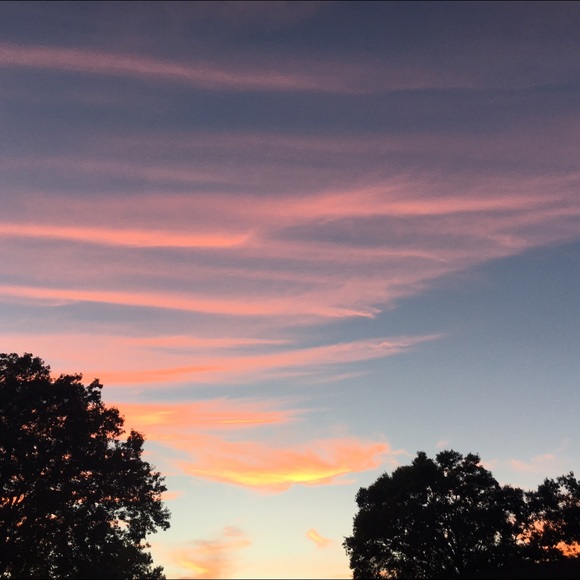 Profile Picture of Nicole Tafro (@nicoletaf528) on Poshmark