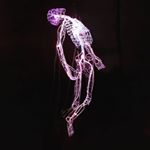 Profile Picture of Dott. Andrea Moretto (@dott._andrea_moretto) on Instagram