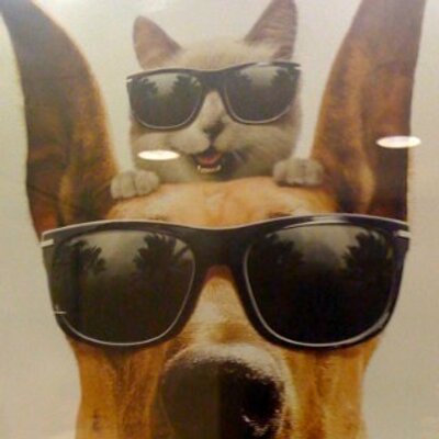 Profile Picture of Adam Rosenberg (@Adloro) on Twitter