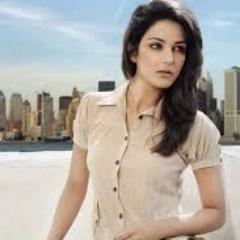 Profile Picture of LoreneBeck (@BeckLorene) on Twitter