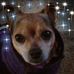 Profile Picture of Jimmy Wesson (@jimmy.wesson.520) on Facebook