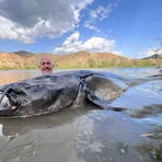 Profile Picture of Colin Dove (@colin.dove.3) on Facebook