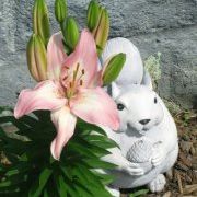 Profile Picture of Heidi Fields (@heidimarie75) on Pinterest