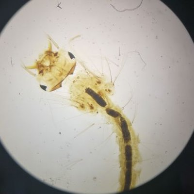 Profile Picture of Richard Yuan (@Richardyuan18) on Twitter