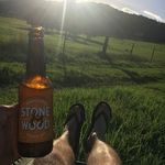 Profile Picture of Tom Reece (@tomhreece) on Instagram