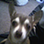 Profile Picture of jose barragan (@joe.brrgn72) on Flickr