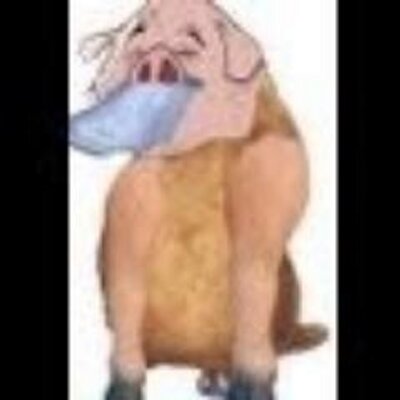 Profile Picture of Sergio Mancha (@OdeOrnitorrinco) on Twitter