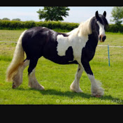 Profile Picture of Harry Coates (@harrycoates6601) on Youtube