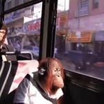 Gavin McMahon - Instagram Profile Picture of Gavin McMahon (@g.mcmahon26) on Instagram