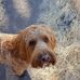 Profile Picture of Tim Connor (@tim.connor.5454) on Facebook