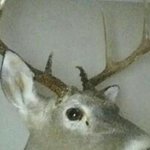 Profile Picture of Andrew Coaker (@andrewcoaker) on Instagram