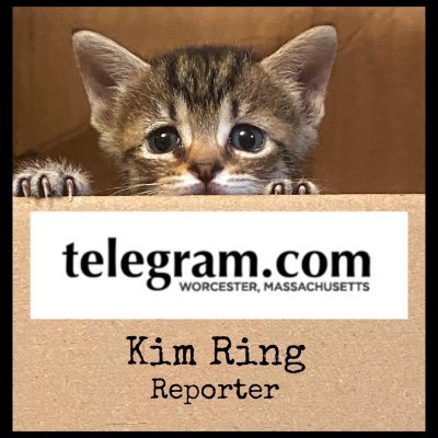 Profile Picture of Kim Ring (@KimRingTG) on Twitter
