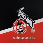 Profile Picture of Michael Gladyszewski (@michl_g) on Instagram