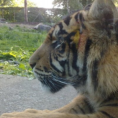 Profile Picture of James Etter (@JamesEtter3) on Twitter