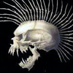 Profile Picture of Joseph (@joseph.tinoco) on Instagram