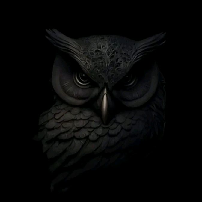 Profile Picture of Consider (@consider1104) on Tiktok