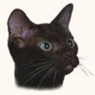 Profile Picture of Blais Ginette (@ginette_blais) on Twitter