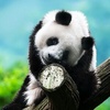 Profile Picture of lary13friday (@lary13friday) on Tiktok