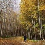 Profile Picture of Seham Kassem (@kassemseham) on Instagram