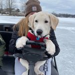 Profile Picture of Tosha Adkins-Burger (@toshalburger) on Instagram